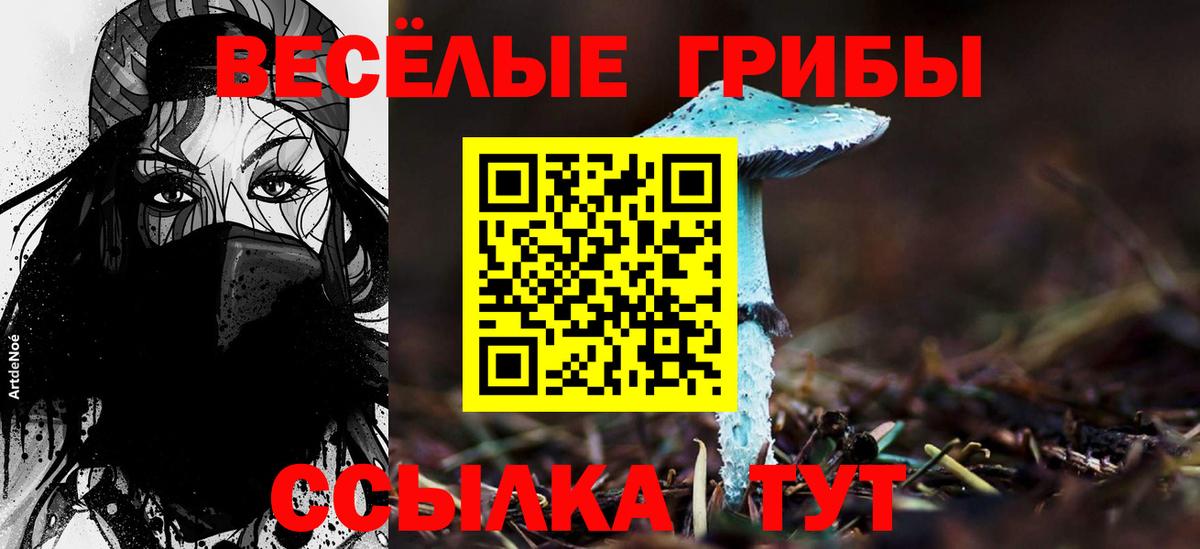 Псилоцибиновые грибы мицелий  Вход с VPN  Сафоново 