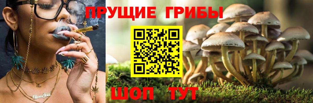 Галлюциногенные грибы мухоморы Сафоново
